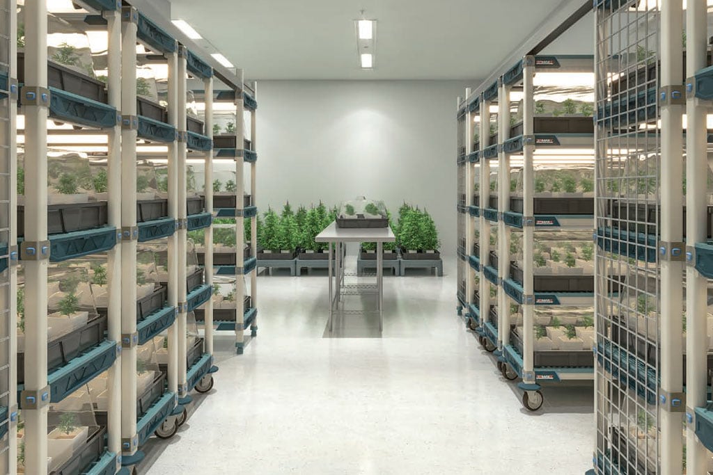 Drying Racks, Experts in Innovative Food Merchandising Solutions